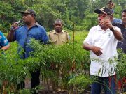 Bupati Jayapura, Mathius Awaitaouw ketiak memberi semangat kepada petani di kampung Puay (Foto: Ist)