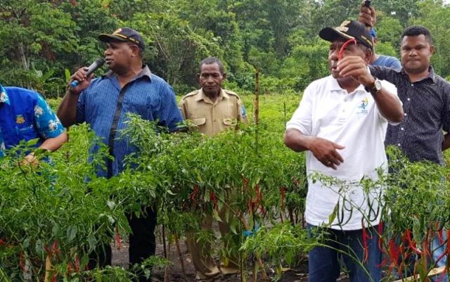 Bupati Jayapura, Mathius Awaitaouw ketiak memberi semangat kepada petani di kampung Puay (Foto: Ist)