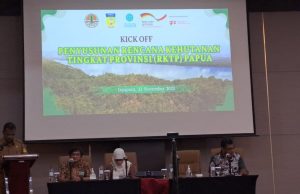 Provinsi Papua Berkomitmen Pertahankan Kawasan Hutan Sebesar 90%