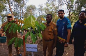 Menekan Emisi, DKLH Papua Terapkan Strategi Indonesia FOLU