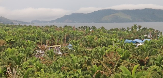 dusun sagu
