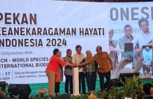 The Efforts of Freeport in Preserving Biodiversity in Papua