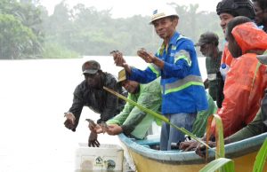 Freeport dan KLHK Lepas 4.605 Kuran-kura ke Hutan Adat