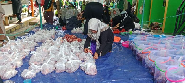 HEWAN KURBAN YOKA-1