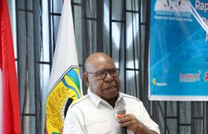 Di Mimika, SPM Kesehatan Tertinggi, Pekerjaan Umum Terendah