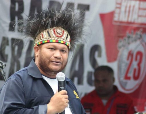 DPD RI Desak, Kepala BKSDA Papua Dicopot