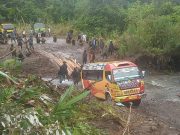 Pentingnya Peran DAMRI, Pemprov Papua Tengah Perlu Berikan Hibah