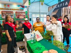 Ketika Gorontalo Sambut Ribuan Rombongan di PENAS XVII