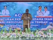 Laut Mimika Berbicara, Ikan Membawa Masa Depan
