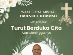 Emanuel Kemung, Wakil Bupati Mimika