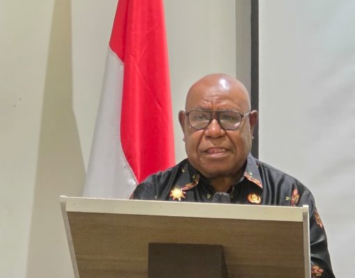 Studi Kelayakan Jalan Agimuga–Fakafaku–Timika Diseminarkan