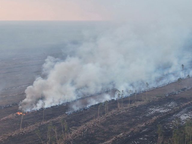 terbakar-1